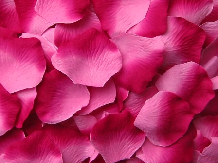 Berry silk rose petals, bag of 100 