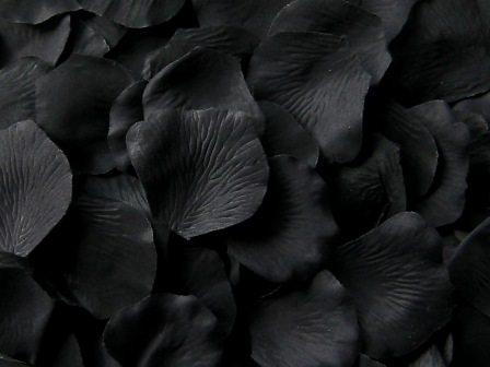 Black silk rose petals, bag of 100 