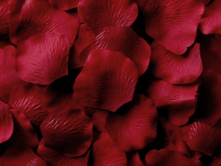 Burgundy silk rose petals, bag of 100 