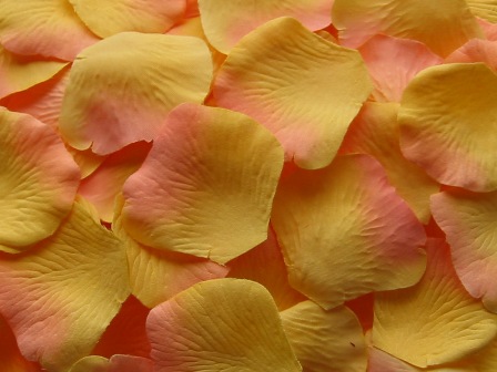 Citrus silk rose petals, bag of 100 