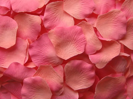 Coral silk rose petals, bag of 100 