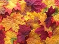 Fall Leaves - Large, 200ct 