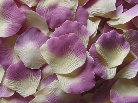 Ivory w/ Purple silk rose petals, bag of 100 
