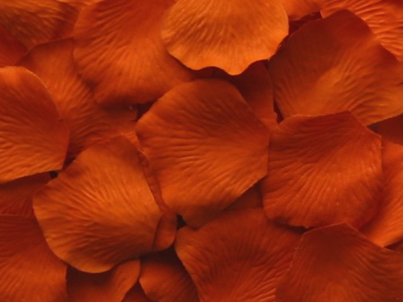 Tangerine silk rose petals, bag of 100 