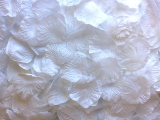 White Aisle Rose Petals, 500ct 