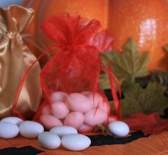 6x9 Organza Bags 