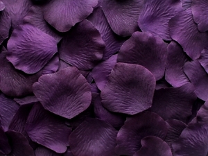 Amethyst silk rose petals, bag of 100 