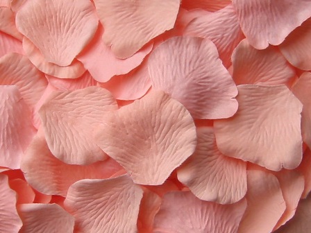 Apricot silk rose petals, bag of 100 