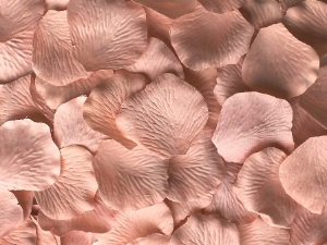 Ballerina silk rose petals, bag of 100 