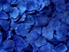 Blue Aisle Rose Petals, 500ct 