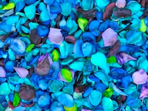 Bulk Budget Petals - Dyed 