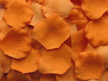 Butterscotch silk rose petals, bag of 100 