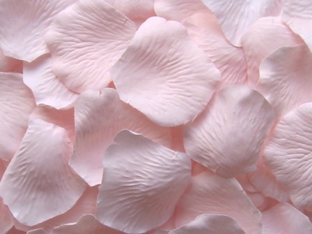 Carnation silk rose petals, bag of 100 