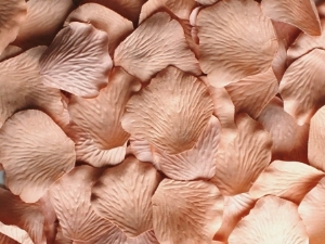 Cashmere silk rose petals, bag of 100 