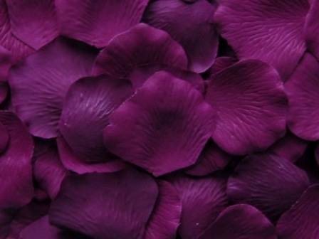 Concord silk rose petals, bag of 100 