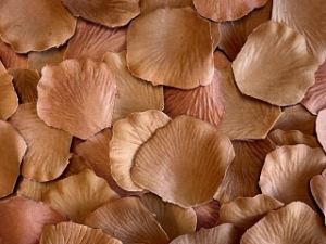 Copper silk rose petals, bag of 100 