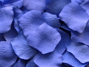 Cornflower silk rose petals, bag of 100 