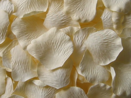 Cream silk rose petals - Value Pack of 1,000 