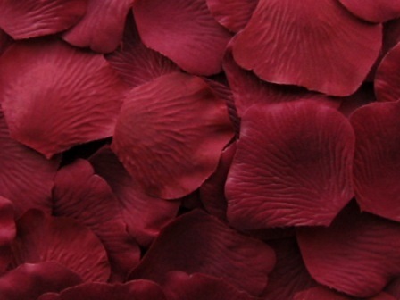 Crimson silk rose petals, bag of 100 