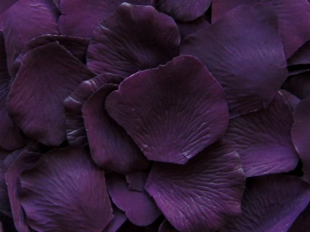 Eggplant silk rose petals, bag of 100 