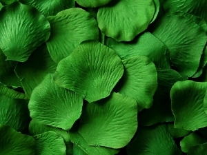 Green silk rose petals, bag of 100 