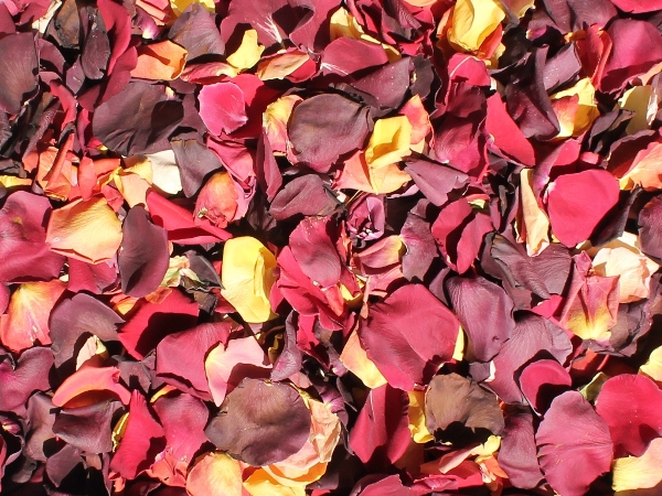 Harvest Blend Rose Petals for Pathways #PWY-HARVEST