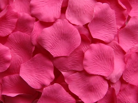 Hot Pink silk rose petals, bag of 100 