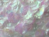 Iridescent silk rose petals, bag of 100 