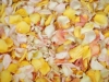 Ivory, Yellow, Blush, and Peach Rose Petals for Pathways 