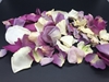 Ivory and Purple Rose Petals for Pathways 