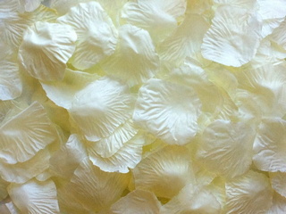 Ivory Aisle Rose Petals, 500ct 