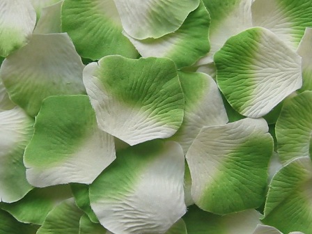 Ivory w/ Green silk rose petals, bag of 100 