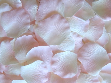Ivory w/ Pink silk rose petals, bag of 100 