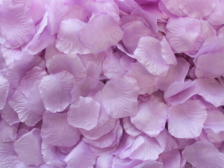Lavender Aisle Rose Petals, 500ct 