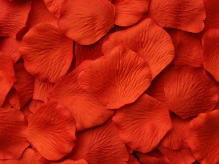 Mandarin silk rose petals, bag of 100 