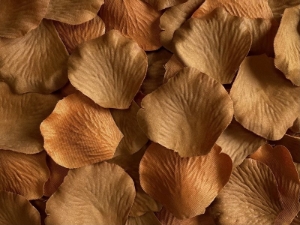 Maple silk rose petals, bag of 100 