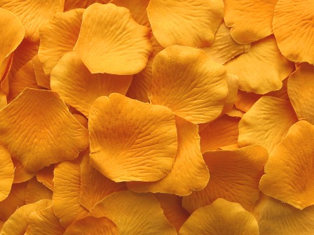 Marigold silk rose petals, bag of 100 