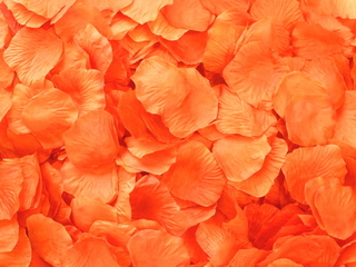 Orange Aisle Rose Petals, 500ct 