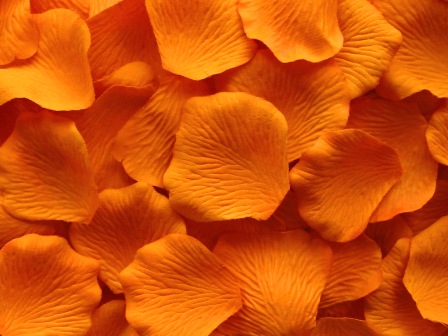 Orange silk rose petals, bag of 100 