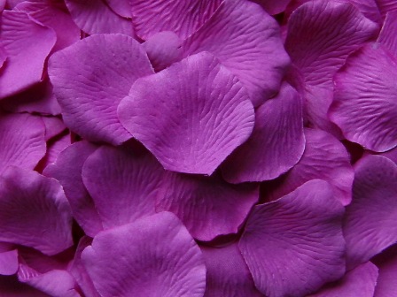 Orchid silk rose petals, bag of 100 