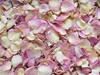 Pale Pink Rose Petals for Pathways 