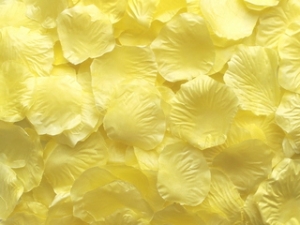 Pale Yellow Aisle Rose Petals, 500ct 