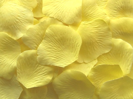 Pale Yellow silk rose petals - Value Pack of 1,000 