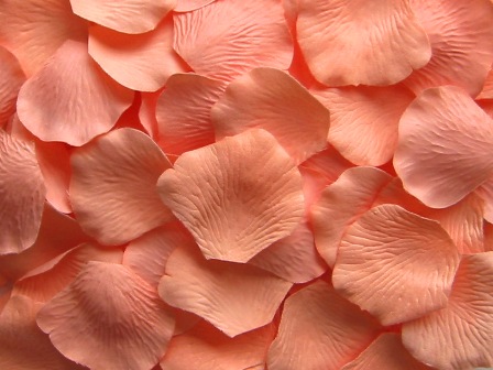 Peachy silk rose petals, bag of 100 
