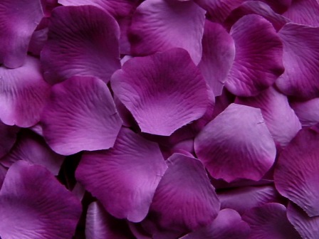 Petunia silk rose petals, bag of 100 
