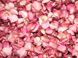 Pink Rose Petals for Pathways 
