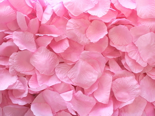 Pink Aisle Rose Petals, 500ct 