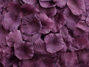 Plum Aisle Rose Petals, 500ct 