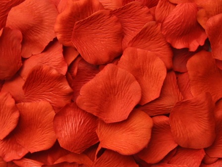 Poppy silk rose petals, bag of 100 