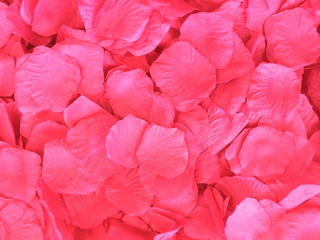Punch Aisle Rose Petals, 500ct 